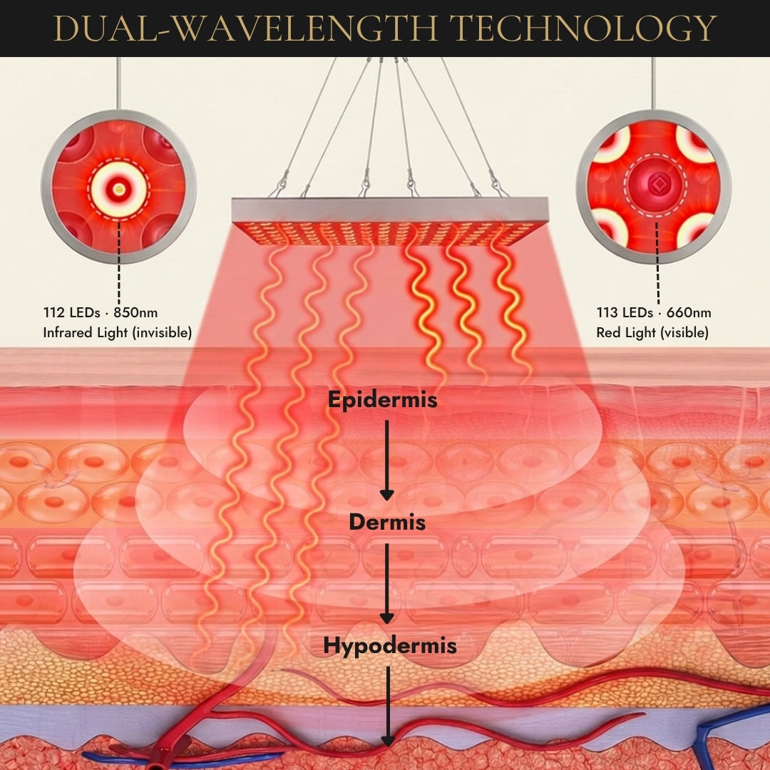 AuraPanel