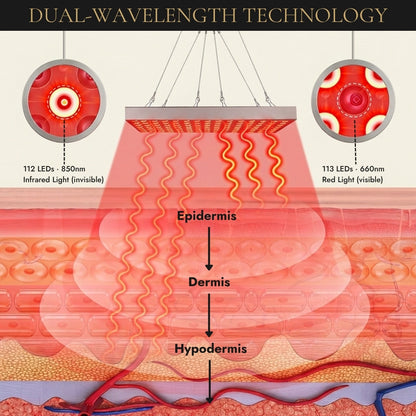 AuraPanel